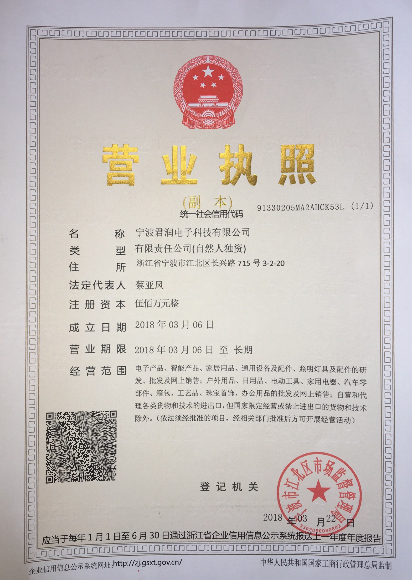 Business License