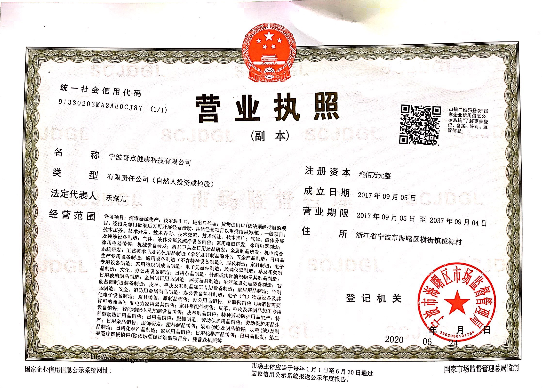 Business License