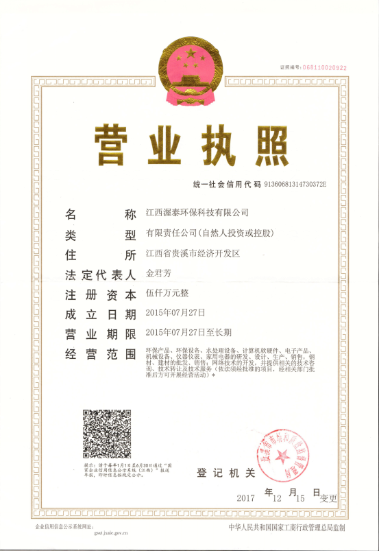Business License